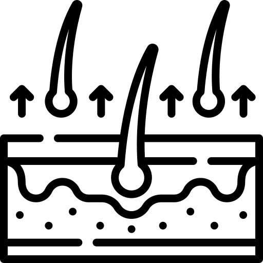 Extracción de Folículos